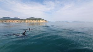 Морская прогулка в бухту Русская