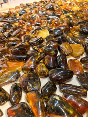 Янтарный, Светлогорск и Филинская бухта