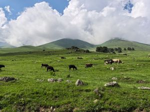Высокогорное озеро Шобайдак и ущелье Аманауз