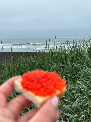 Тихий океан