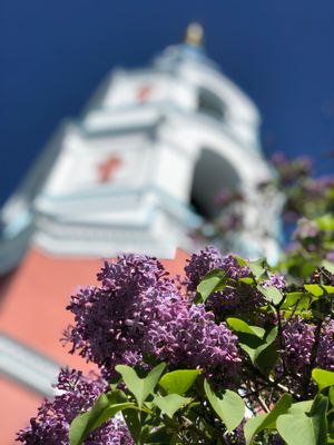 Валаам + Ладожские шхеры