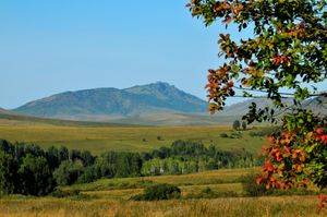 Отправляемся на Алтай