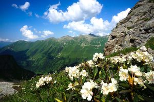Треккинг на площадку на хребте Габулу-Чат