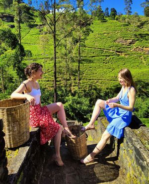 Чайные плантации и поездка на поезде