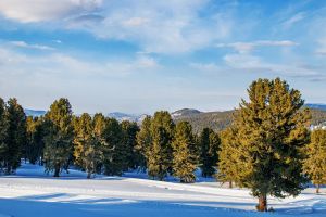 Алтайская стела и Телецкое озеро