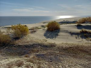 Куршская коса и Зеленоградск