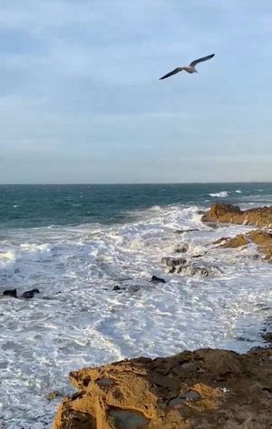 До Новых Встреч