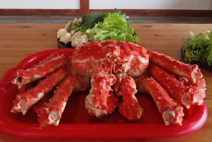 Петропавловск-Камчатский