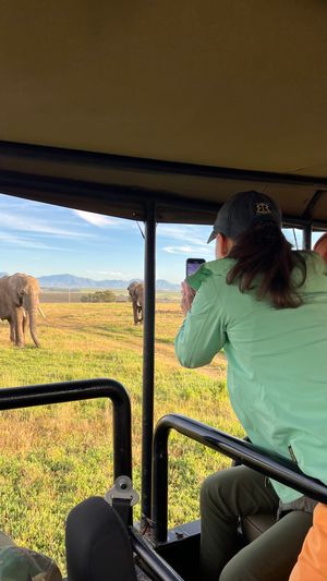 Дорога домой