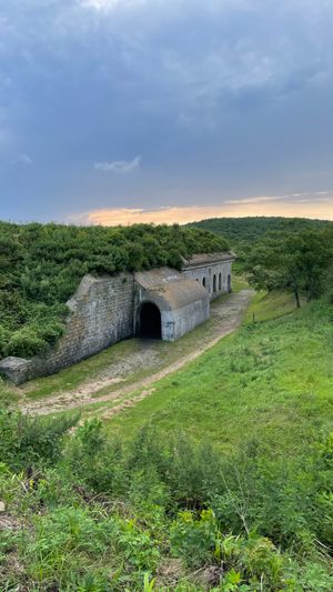 Остров Русский: Мыс Вятлина, Океанариум, Устрицы
