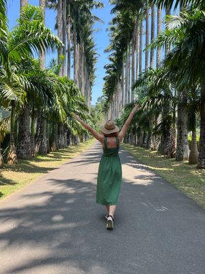 Великая реликвия и Королевский сад