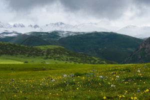 Панорама, Чолпон-Ата