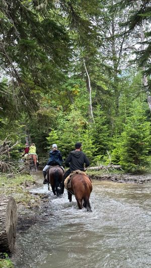 Конный тренировочный маршрут