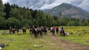 Встреча гостей, знакомство с лошадьми