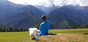 Сванетиа - городок Местиа