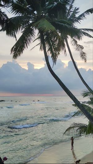 Отдых на океане