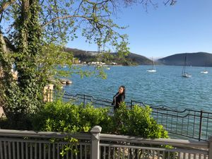 Вино, улитки и история