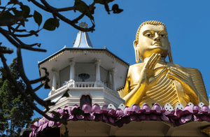 Пещерный храм Дамбула, возвращение в Негомбо