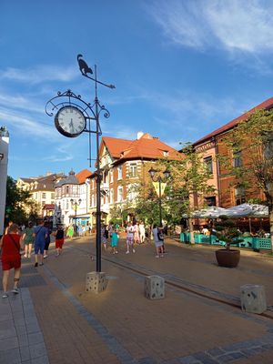 Зеленоградск, Шаакендорф и Нессельбек