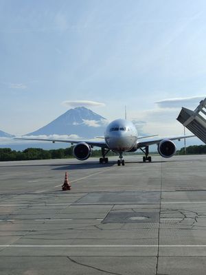 Покупка сувениров, вылет домой