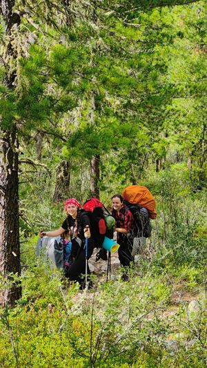 Трансфер до Горно-Алтайска (6-8 часов)