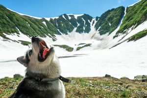 Отлет