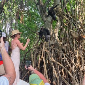 Сказка мангрового леса и романтика форта Галле