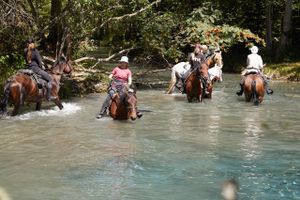 Конный тренировочный маршрут