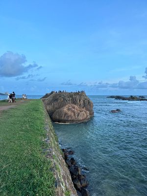 Форт Галле и Черепашья ферма