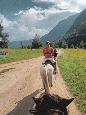 Куркуре. Каменные грибы. Чулышман