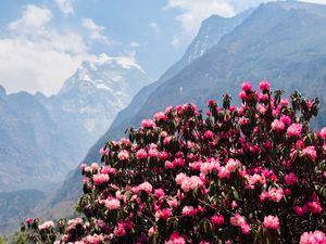 Намче-Базар - Тенгбоче