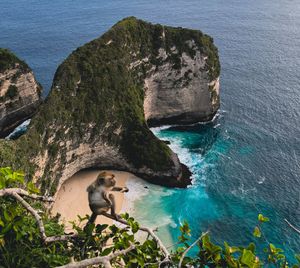 Самые необычные пляжи мира на Нуса Пениде