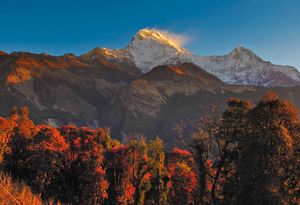 Trek to Ghandruk (1,950m / 6,397 ft)