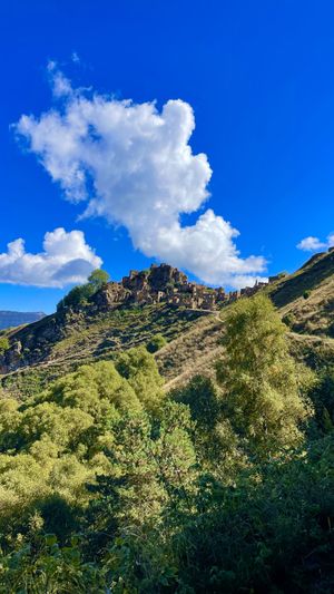 Гамсутль без попсы