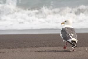 Начало приключений