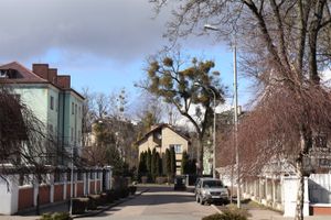 Встреча, экскурсия по Калининграду