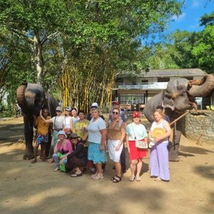 Слоны, Город Канди, Храм Зуба Будды