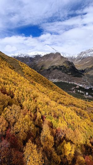 Водопады и лошадки, дегустация