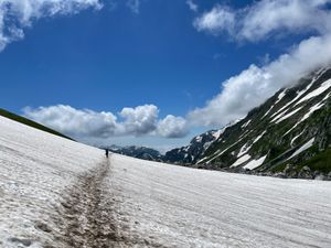 На Псенодах