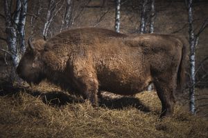 Озеро Арукем в Долине Уч Энмек