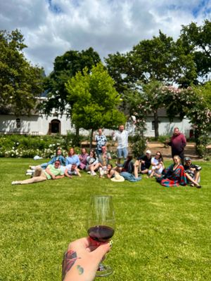 Серфинг, виноградники и Стелленбош