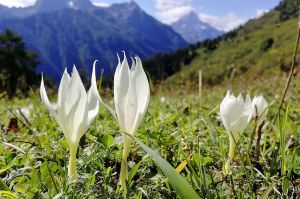 Озера балки Орленок