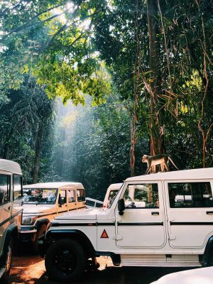 Гоа, отдых на побережье