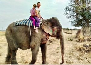 Столица земли махараджей