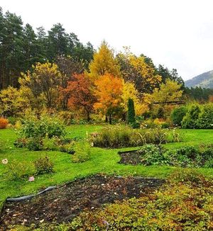 Онгудай - Ая