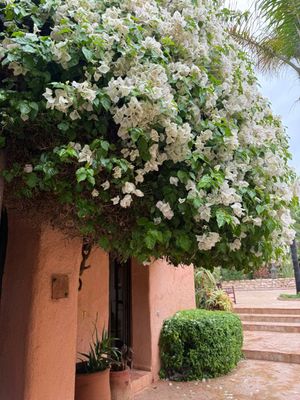 Касабланка