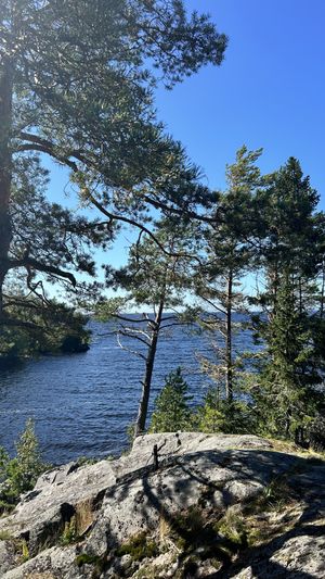 Первозданная природа - водопады