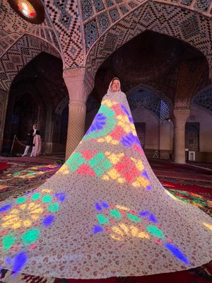 Насыщенный день в Ширазе