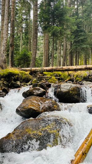 Поездка на квадроциклах к Белому водопаду