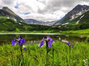 Вулкан Вачкажец